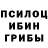 Галлюциногенные грибы мицелий Elmurod Abdurashidov