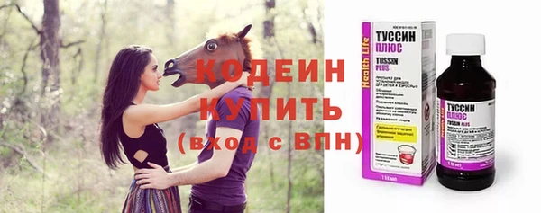 эйфоретик Вяземский