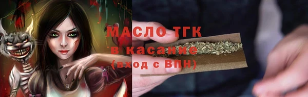 эйфоретик Вяземский